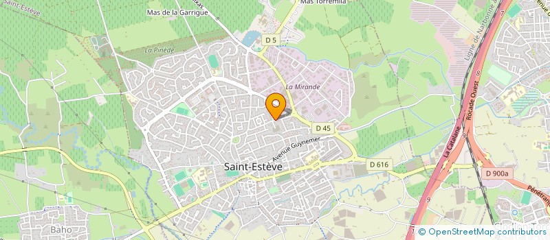 localisation de l'entreprise MADAME INES DURAND  SAINT-ESTEVE