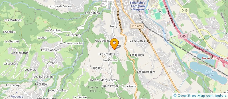 localisation de l'entreprise MADAME INES GIRAUD  SALLANCHES