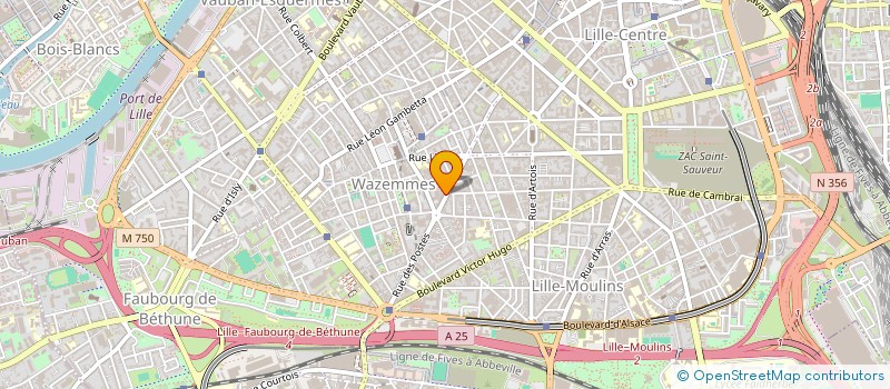 localisation de l'entreprise MADAME INES HADJAS à LILLE