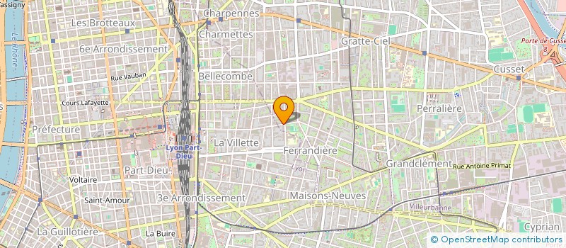 localisation de l'entreprise MADAME INES JOUX  VILLEURBANNE