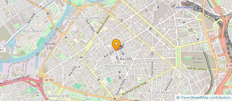 localisation de l'entreprise MADAME INES KALFSBEEK à LILLE