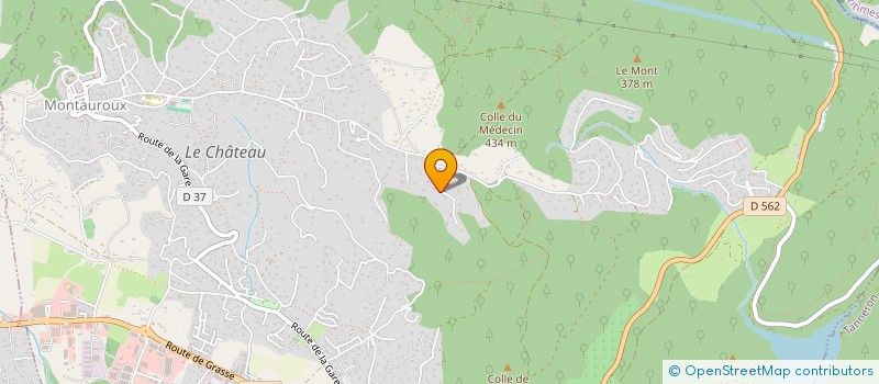 localisation de l'entreprise MADAME INES LANDRO  MONTAUROUX