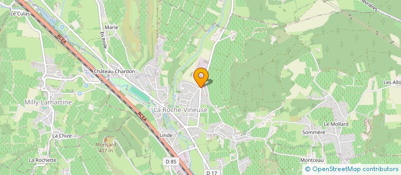 localisation de l'entreprise MADAME INES MARQUER  LA ROCHE-VINEUSE