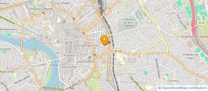 localisation de l'entreprise MADAME INES MARTIN  TOULOUSE