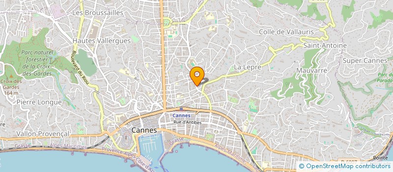 localisation de l'entreprise MADAME INES MONTANDON  CANNES