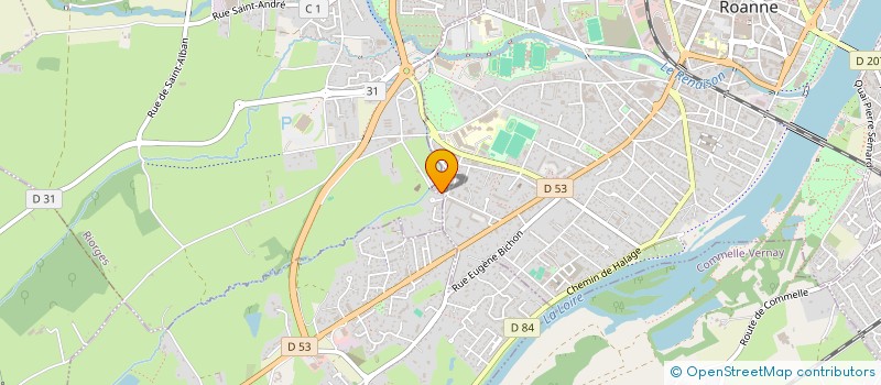 localisation de l'entreprise MADAME INES SAHIM  ROANNE