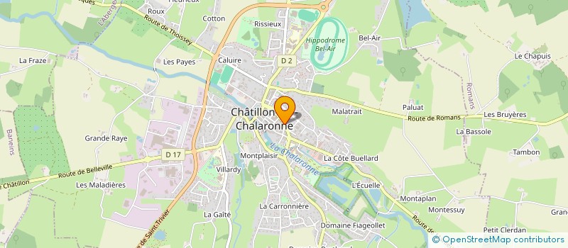 localisation de l'entreprise MADAME INES SAYOUD à CHATILLON-SUR-CHALARONNE