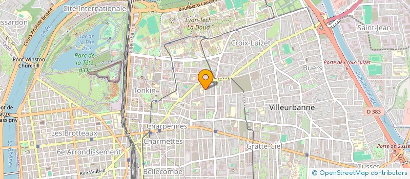 localisation de l'entreprise MADAME INES YAMANJIAN  VILLEURBANNE