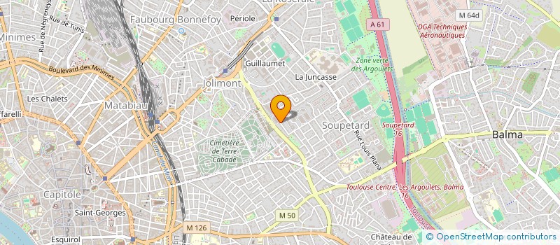 localisation de l'entreprise MADAME INGRID DAMBO  TOULOUSE