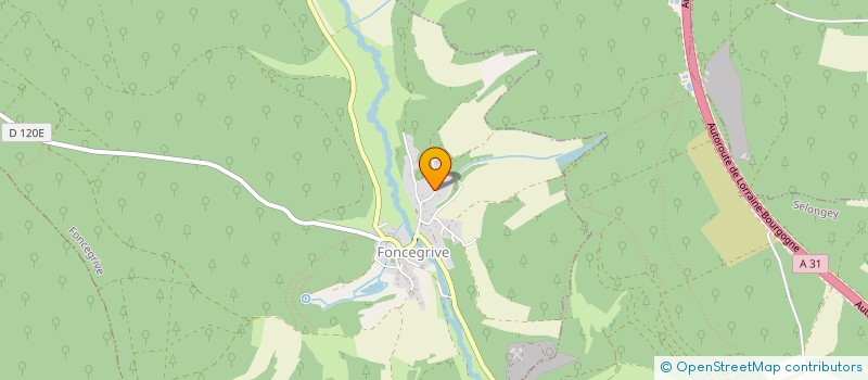 localisation de l'entreprise MADAME INGRID VERSTRAETE  FONCEGRIVE