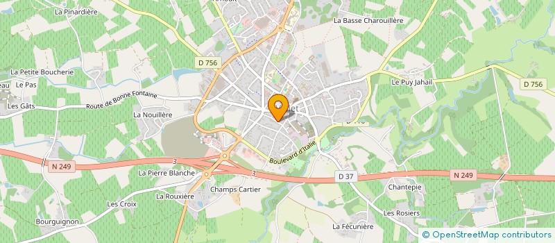 localisation de l'entreprise MADAME INNA BURDIKOVA à VALLET