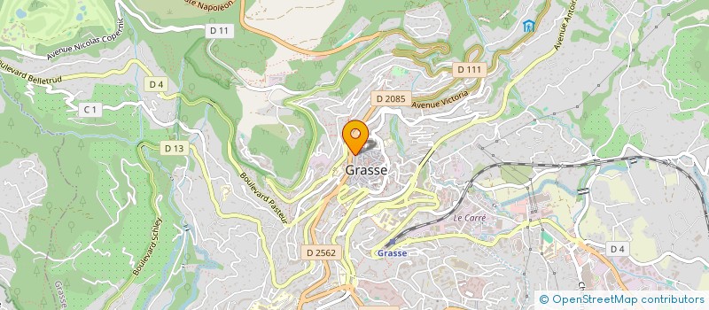 localisation de l'entreprise MADAME IOANA ALINA ANITEI  GRASSE