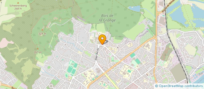 localisation de l'entreprise MADAME IOANA AXENTE à THIONVILLE