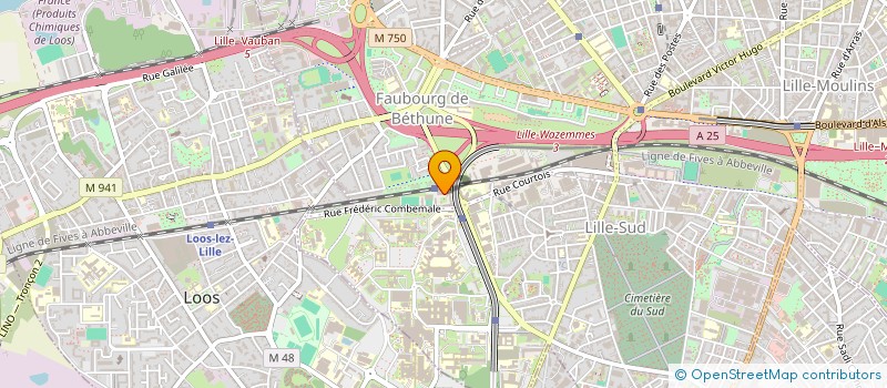 localisation de l'entreprise MADAME IPHIGENIE DIATTA à LILLE