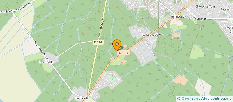 localisation de l'entreprise MADAME IRENA RAYCHEVA  CESTAS