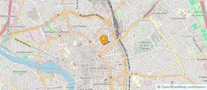 localisation de l'entreprise MADAME IRENE ALIER PURULL  TOULOUSE