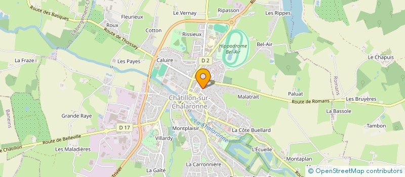 localisation de l'entreprise MADAME IRENE BESSON  CHATILLON-SUR-CHALARONNE