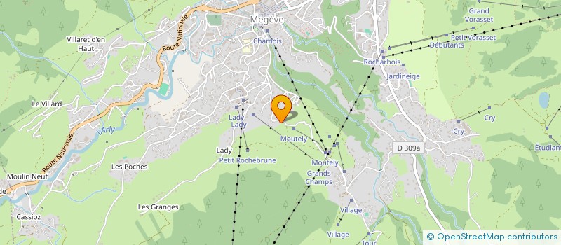 localisation de l'entreprise MADAME IRENE FEIGE à MEGEVE