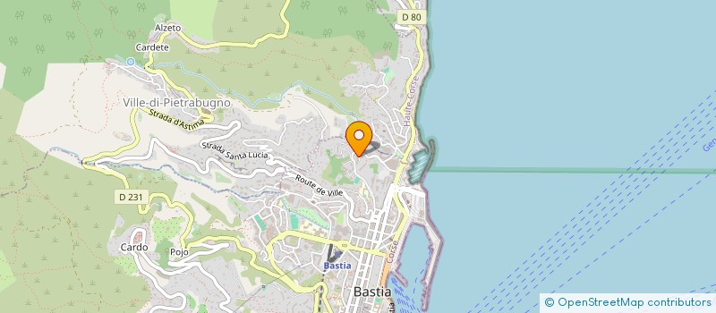 localisation de l'entreprise MADAME IRENE LASSIAILLE à BASTIA