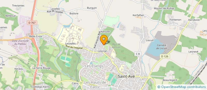 localisation de l'entreprise MADAME IRENE LE GUERNEUVE  SAINT-AVE