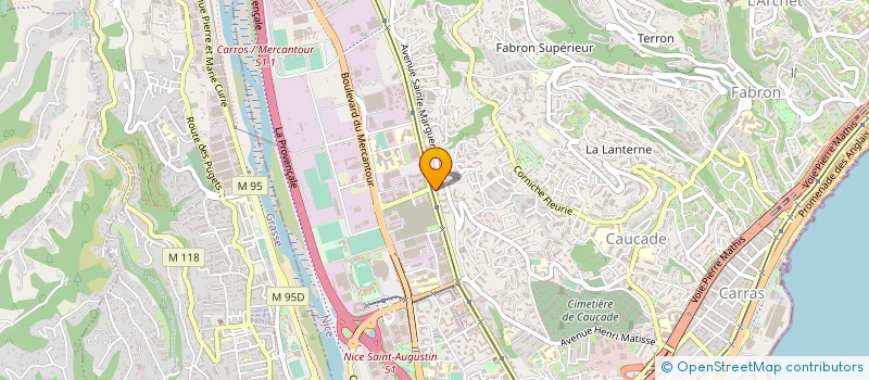 localisation de l'entreprise MADAME IRENE VOLPEI  NICE
