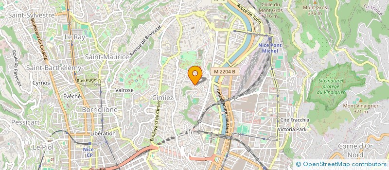 localisation de l'entreprise MADAME IRINA AVASILICHIOAIE à NICE