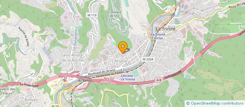 localisation de l'entreprise MADAME IRINA AZBOUKINA à NICE