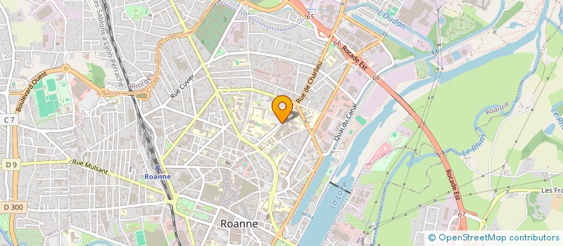 localisation de l'entreprise MADAME IRINA BALASA  ROANNE