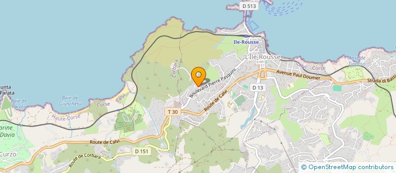 localisation de l'entreprise MADAME IRINA CHIRKOVA à L'ILE ROUSSE