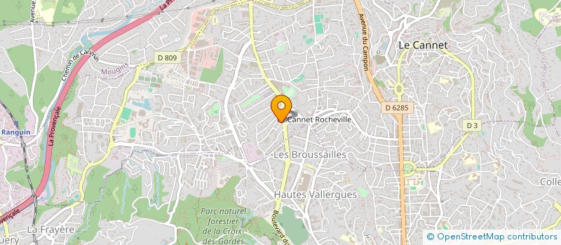 localisation de l'entreprise MADAME IRINA CLUET à LE CANNET