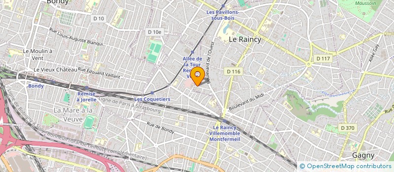 localisation de l'entreprise MADAME IRINA DANSINA  LE RAINCY