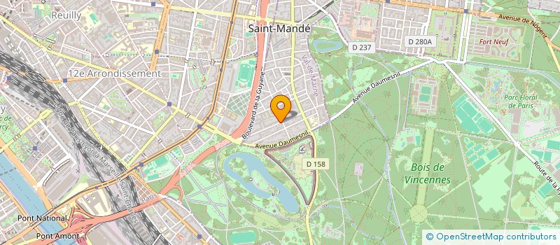 localisation de l'entreprise MADAME IRINA GRIGORASHVILI à SAINT-MANDE