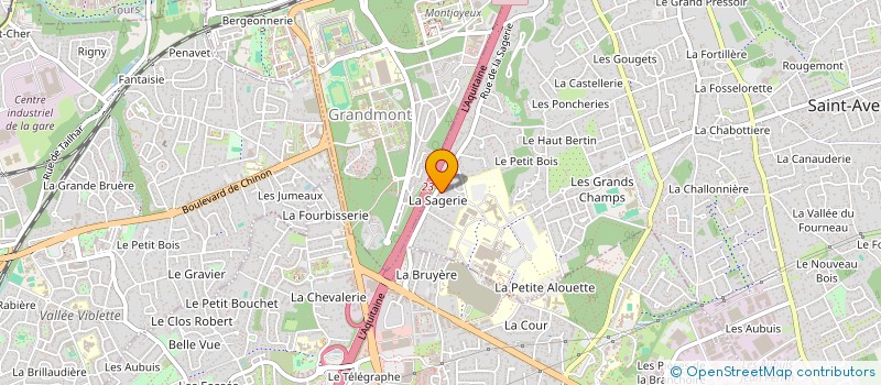 localisation de l'entreprise MADAME IRINA JOVER  SAINT-AVERTIN