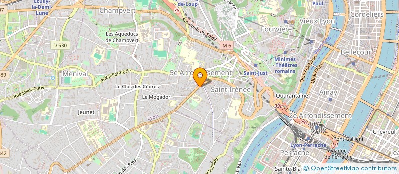 localisation de l'entreprise MADAME IRINA KOZLOVA à LYON