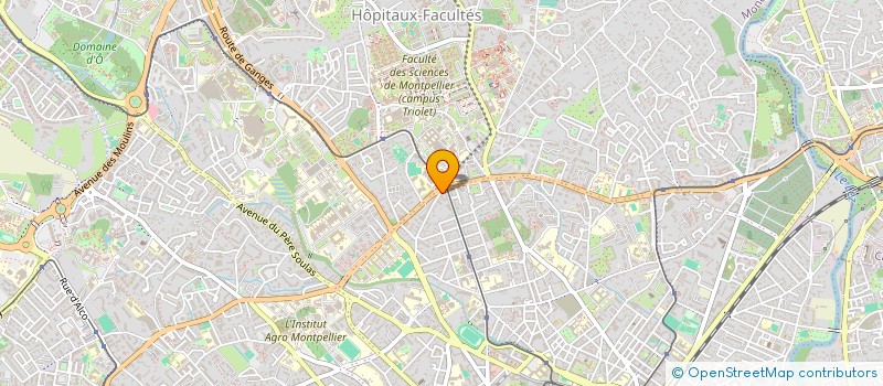 localisation de l'entreprise MADAME IRINA OSSOKINA à MONTPELLIER