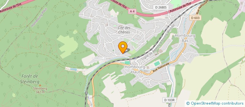 localisation de l'entreprise MADAME IRINA SARGSYAN  HOMBOURG-HAUT