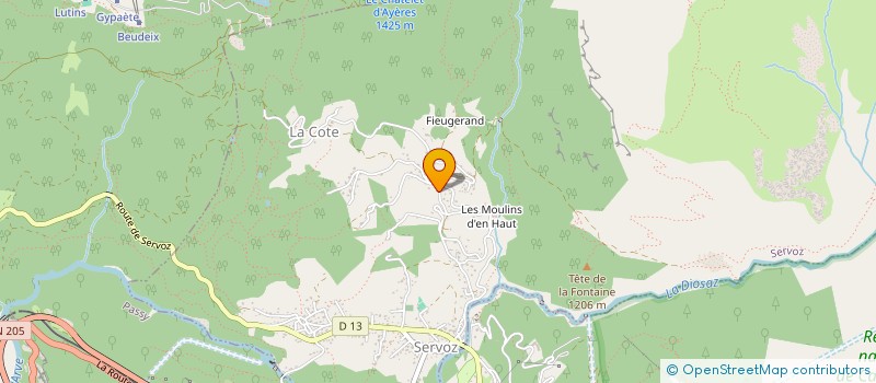 localisation de l'entreprise MADAME IRINA SKAPINTSEVA  SERVOZ