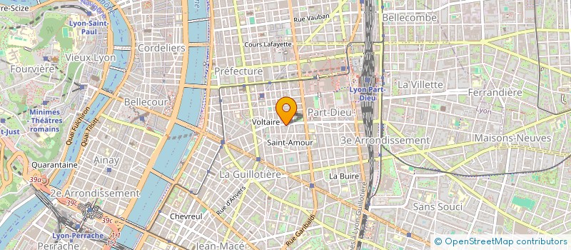 localisation de l'entreprise MADAME IRINA TERENTJEV  LYON