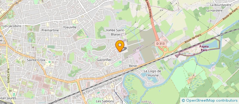 localisation de l'entreprise MADAME IRINA TERNOVAYA à LE MANS