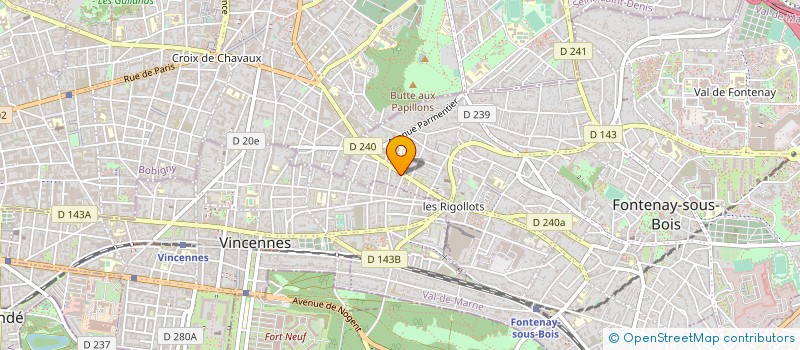 localisation de l'entreprise MADAME IRINA VASSILEVA  FONTENAY-SOUS-BOIS