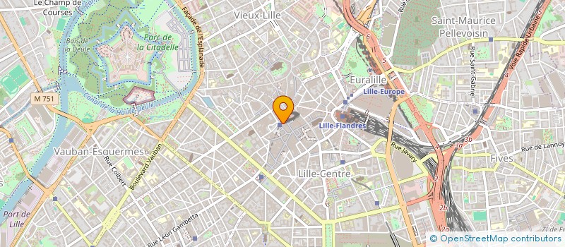 localisation de l'entreprise MADAME IRINA VEIRINA à LILLE
