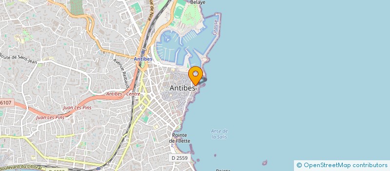 localisation de l'entreprise MADAME IRINA VYCHESLAVSKA  ANTIBES