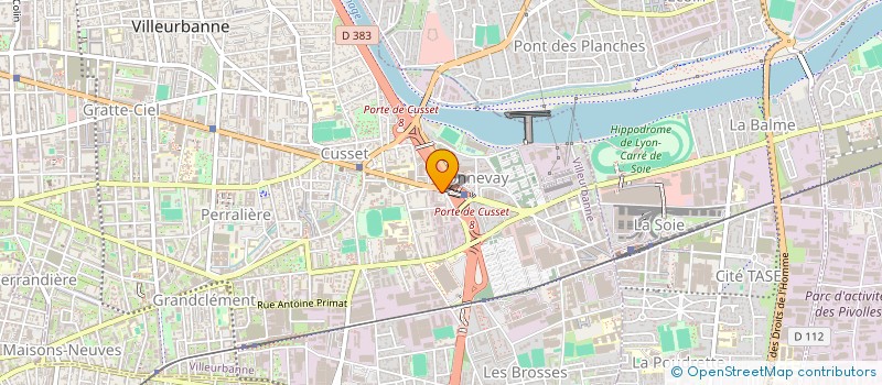 localisation de l'entreprise MADAME IRION TRAORE  VILLEURBANNE