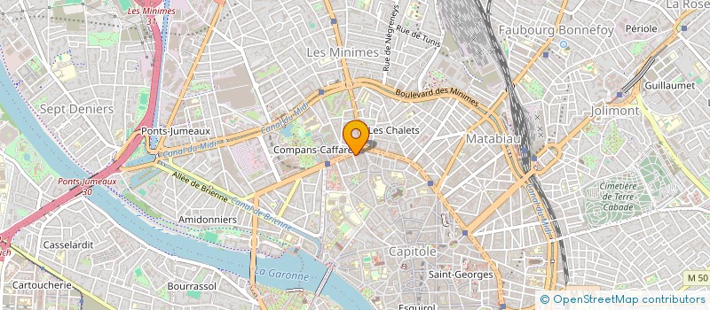 localisation de l'entreprise MADAME IRIS SOUYRI  TOULOUSE
