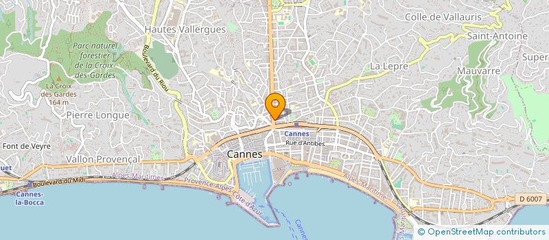 localisation de l'entreprise MADAME IRMA PAPPINI à CANNES