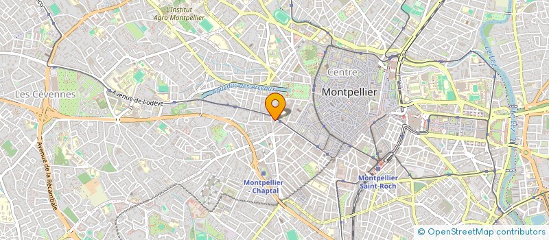 localisation de l'entreprise MADAME IRYNA KOREPANOVA à MONTPELLIER