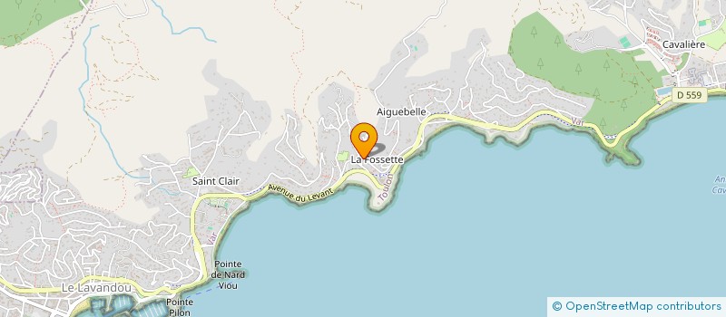 localisation de l'entreprise MADAME IRYNA MOKAN à LE LAVANDOU