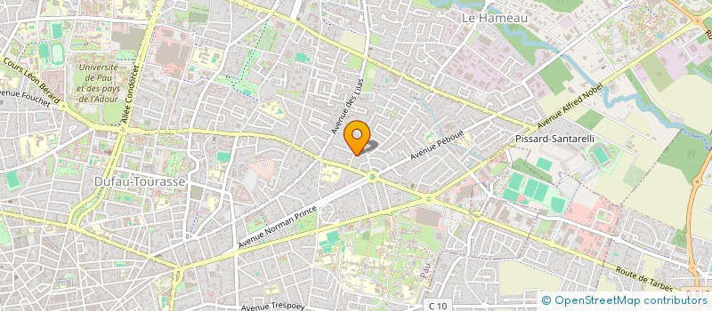 localisation de l'entreprise MADAME IRYNA RAKITSKA à PAU
