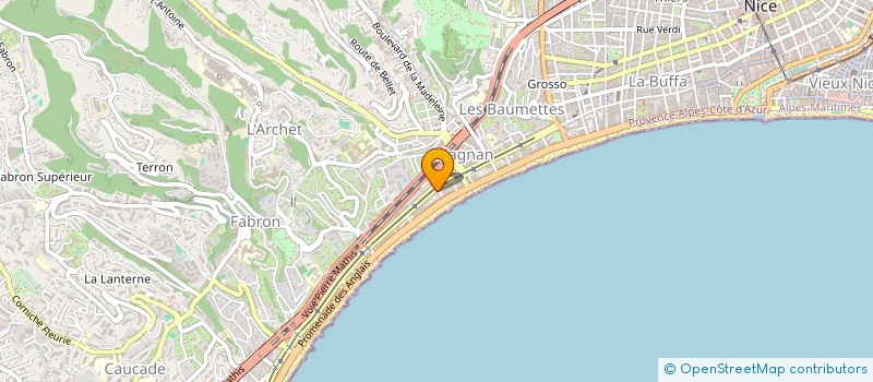 localisation de l'entreprise MADAME IRYNA SMUTOK à NICE