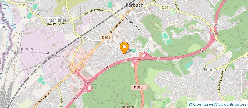 localisation de l'entreprise MADAME IRYNA VITVITSKA à FORBACH
